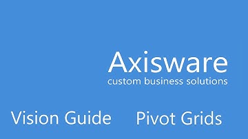 Vision- Working with the Pivot Grid