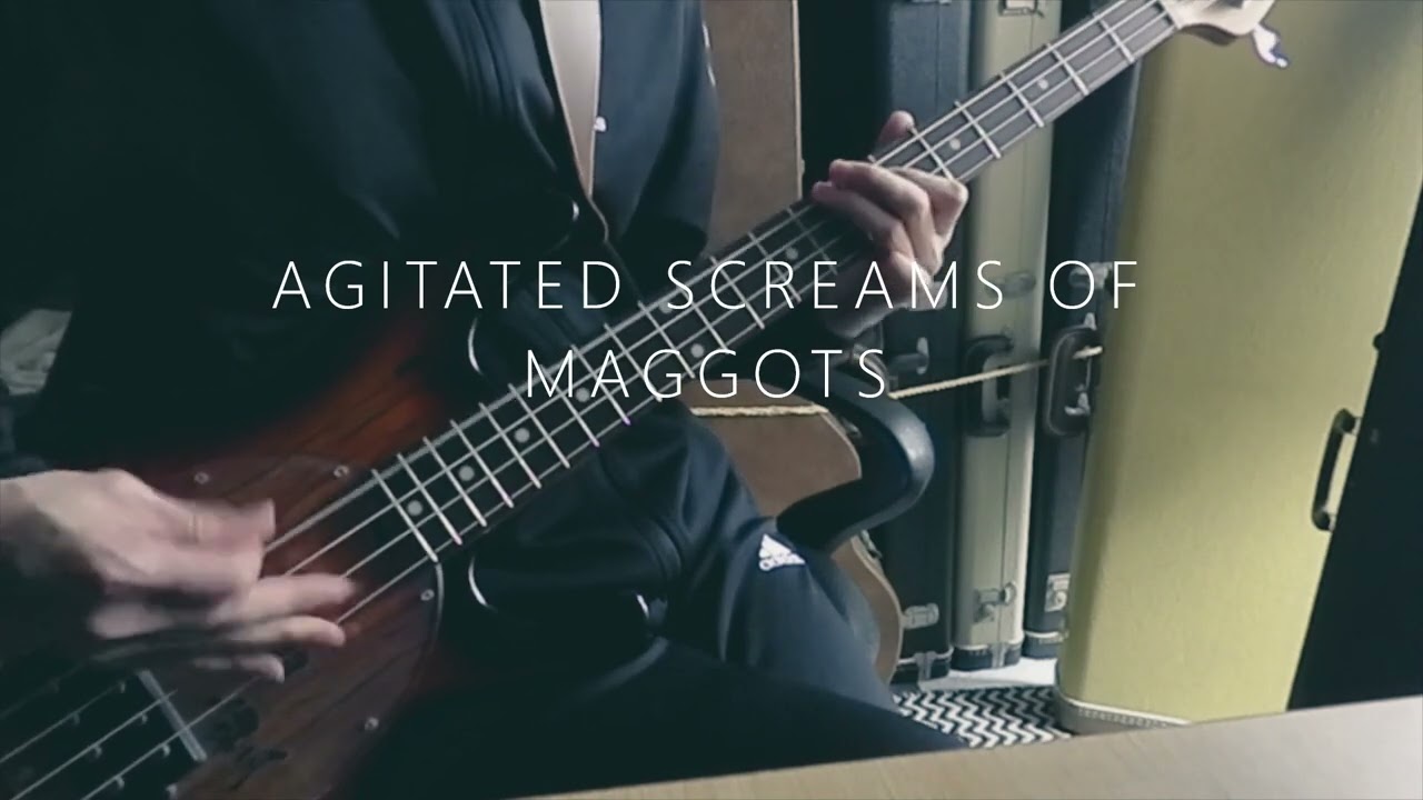 DIR EN GREY 　AGITATED SCREAMS OF MAGGOTS 　弾いてみた