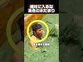絶対に入るな茶色の水たまり❗