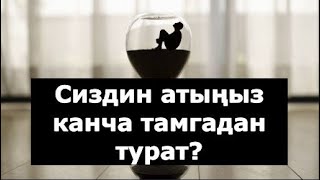 Атыңыз канча тамгадан турат? Анын да өзүнчө сыры болот экен...