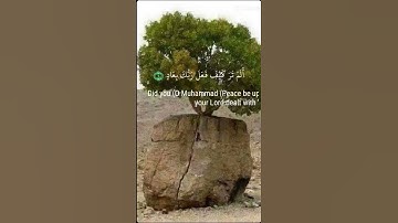 سورة الفجر والفجر وليال عشر والشفع والوتر
