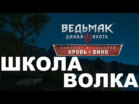 Ведьмак 3 Кровь и Вино Гроссмейстерский комплект школы волка