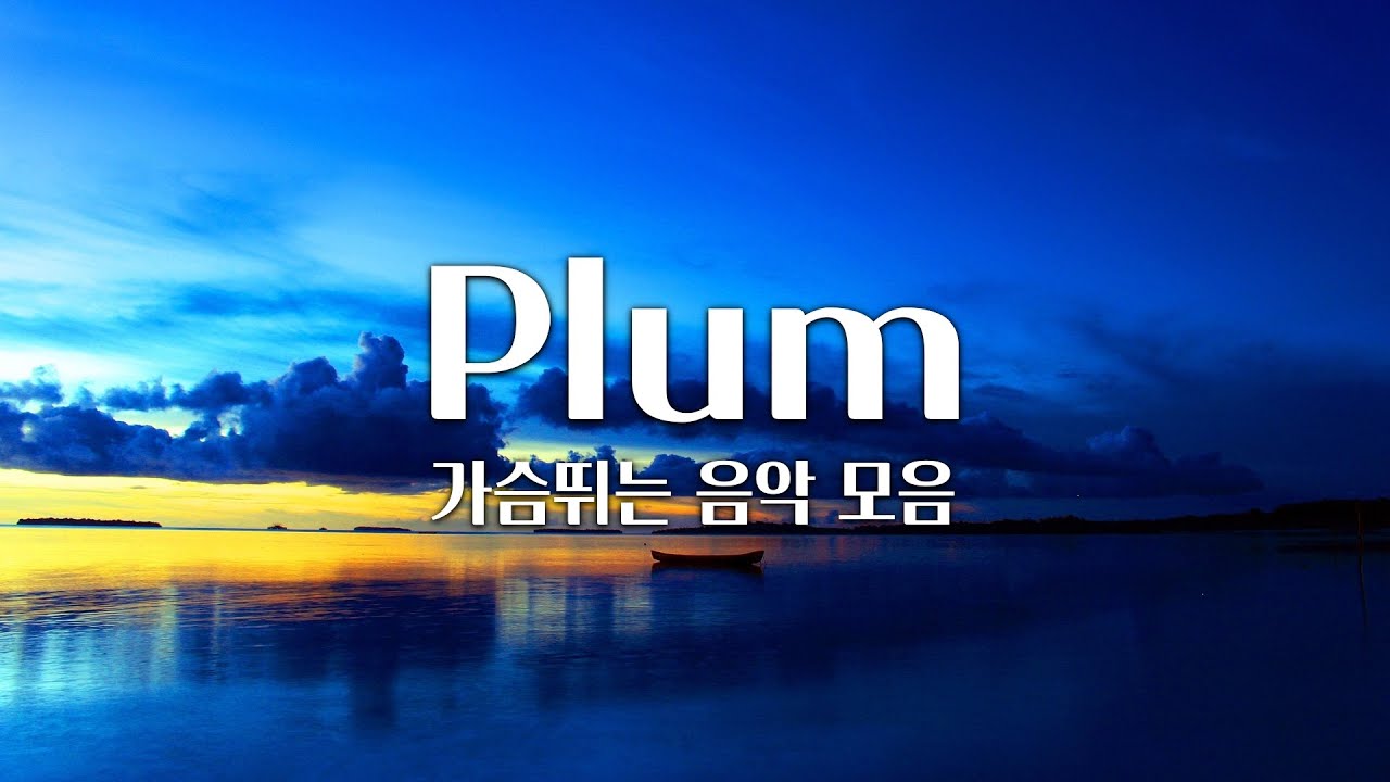 【𝐏𝐥𝐚𝐲𝐥𝐢𝐬𝐭】 듣다보면 왠지 가슴이 웅장해지고 벅차오르는 플레이리스트 / Plum 음악 모음 (중간광고 X)