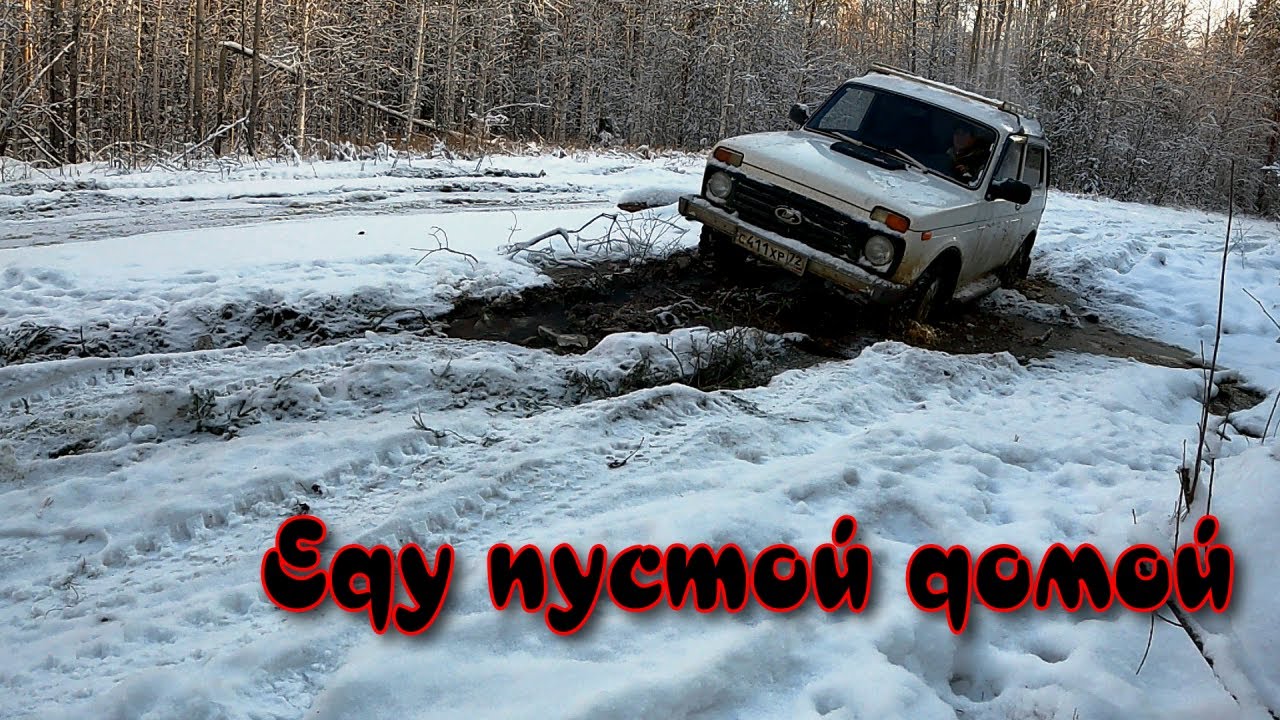 жизнь в сибири дзен