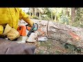 This Technique Could Save Your Chainsaw