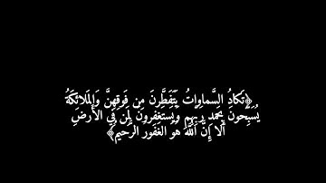 ما تيسر من سورة الشوري القارئ يوسف سيد #قرآن #قران_كريم #الله #صوت_جميل #راحة_نفسية @Alqtami