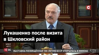 Лукашенко: Корова не такая глупая, как некоторые, кто там работает | Президент после визита в Шклов
