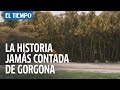 La historia jamás contada de la isla Gorgona | EL TIEMPO