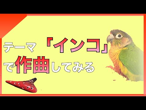 【広瀬香美流!】作曲初心者がテーマ「インコ」で作曲してみた【作曲過程全て見せます!】