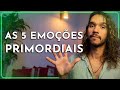 AS 5 EMOÇÕES BÁSICAS e como não ser um refém delas