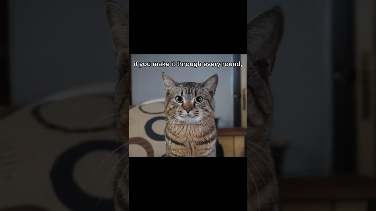 Если я заговорю о тебе, ты вылетишь 😈😈... 