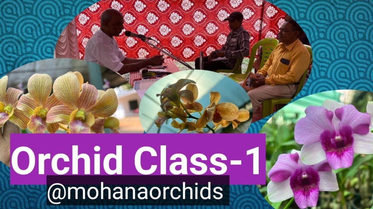 Orchid Class Vedio #Part3|Orchid Workshop Episode 1|മോഹനേട്ടന്റെ ഓർക്കിഡ് ക്ലാസ് ഭാഗം1| #orchid 📒