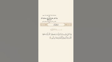 سورة لقمان #قرآن#قرآن_كريم#قران #قران_كريم #حالات #اكسبلور #رمضانمبارك #دويتو #لايك #تيك_تو #فلسطين