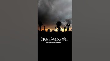 #القاريء #عبدالرحمان_احمد #سورةالنور #دويتو #المصحف #راحة_نفسية #لايك