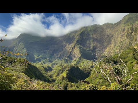 Videó: Iao Valley State Park Maui-n, Hawaii
