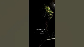 ومهما تغيب بعيش وياك حالات واتساب اغاني Al Jou 
