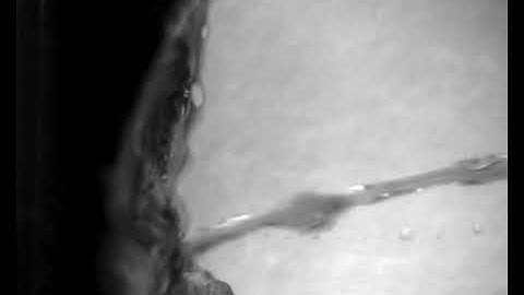 C-RED 2 / SWIR InGaAs, Water 600fps Imaged