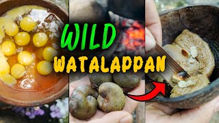 Watalappan in wild | easy & tasty | How to make watalappam | wild kitchen