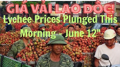 Cập Nhật Sớm Giá Vải Lục Ngạn 5h 33