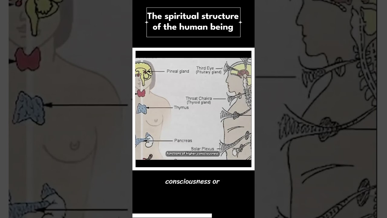 "The Spiritual Anatomy of Humans: Explained"