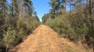 Oil well Road