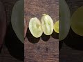 Ягоди винограду в розріз виноградник виноград ягода 2025 Grape осінь садівництво вирощування Ягоди винограду в розріз виноградник виноград ягода 2025 Grape осінь садівництво вирощування