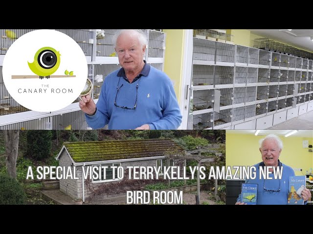 A Visit to Terry Kelly's Amazing New Birdroom - A Canary Room Special class=