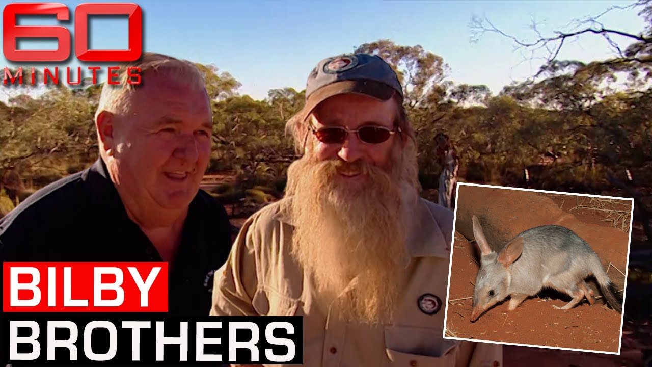 Two brothers' perilous journey to save the Australian bilby | 60 Minutes Australia