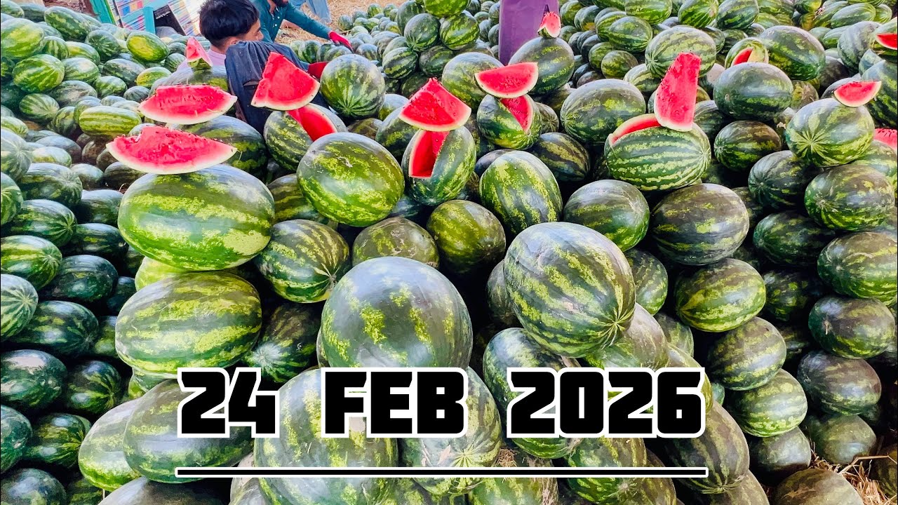 Karachi Sabzi Mandi 24 Feb 2026 rates today| Karachi Fruit Mandi rates todayKarachi