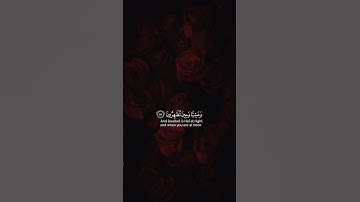 سورة الروم #اكسبلور #المصحف #لايك #اكسبلور #المصحف #لايك #المصحف #لايك #اكسبلور