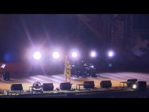 變形金剛Transformers-魏如萱Waa Wei , 搖滾台中Rock in Taichung