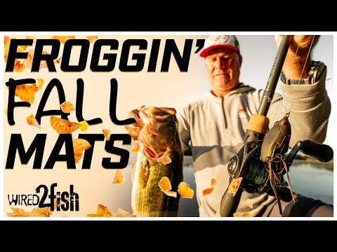Frog Fishing Tips for More Bass: Size and Color Matters - Wired2Fish