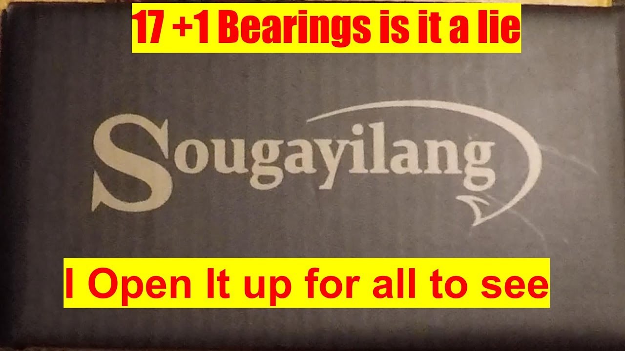 Cheap Chinese( Sougayilang ) reel tare down 17 bearings NOT ! Review 