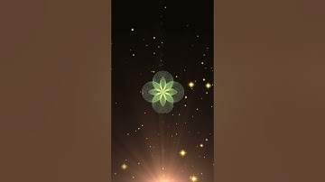 @PythonGraphics-m8l #programming #flower  #pythongraphics #computergraphi #14 #coding#python#music