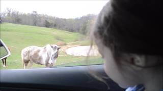 Short Film Of The Ranch by TravelingYeti12 129 views 7 years ago 1 minute, 36 seconds