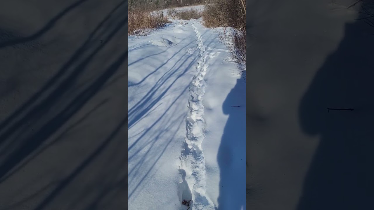 Monday Moving Meditation : Calling In Creative Energy