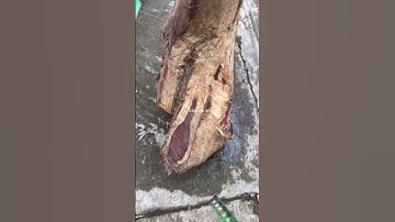 GL gốc trắc đỏ đen cực đẹp 26kg bác nào thiện chí lh