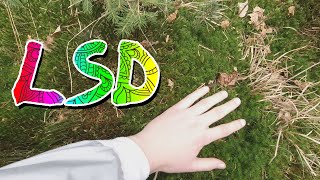 Ich war LSD Tripsitter | Trip Aufnahmen