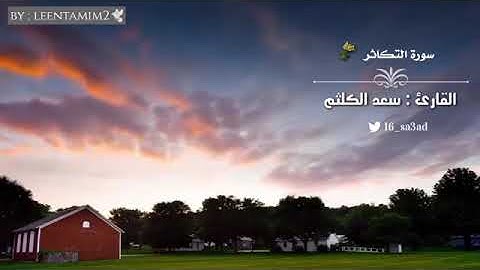 سوره التكاثر سعد الكلثم