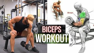 BICEP WORKOUT - GET A HUGE ARMS | Maniac Muscle