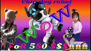 WOW Jasmina's robot CHIP dog, WOW робот CHIP собака, 哇机器人芯片狗, うわーロボットチップドッグ