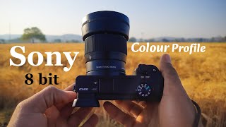 Sony best colour picture profile for 8 bit camera | Sony PPs shooting in 8-Bit