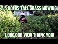 Two Hours Of Tall Grass Mowing Video Gives Purpose To Your Life (1,000,000 View Thank You!)