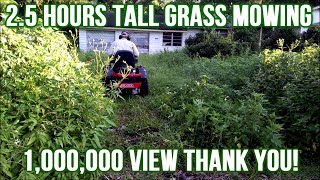 Two Hours Of Tall Grass Mowing Video Gives Purpose To Your Life (1,000,000 View Thank You!)