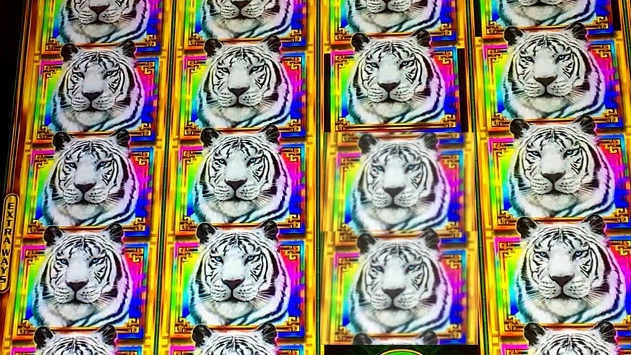 Casino Flash Golden Tiger Casino Flash Golden Tiger