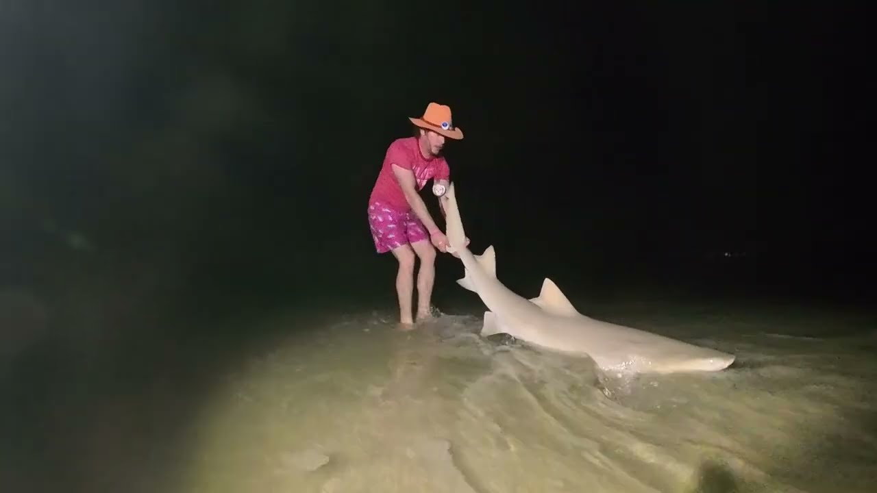 STORMY SHARK FISHING!!!! LEMON SHARK off the BEACH
