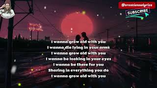 I Wanna Grow Old with You - Westlife (lyrics animation)