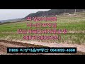 #805 의성가음부동산 산밑 마을근처 확트인 풍경좋고 모양반듯한 마늘밭 388평 3000만 (당7.7만원) 경지정리된 밭사용추천 전기가능 상수도가능 위치좋은 주말농장용 #의성마늘땅
