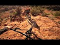 The best mtb trail in sedona gopro hero 11 mini