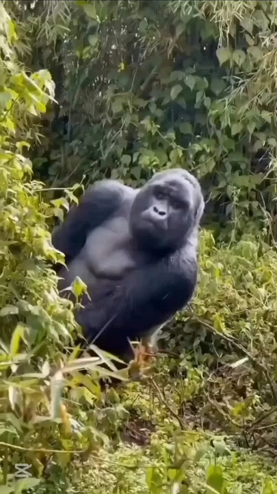 Tui Tui Funny Video (Part-3) 😍tui tui best comedy😀tui tui comedy 💪tui tui Most watch special video